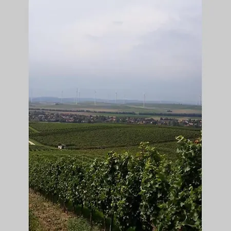 Apartamento Wohlfühlen im rheinhessischen Backsteinhaus Armsheim Exterior foto