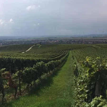 Apartamento Wohlfühlen im rheinhessischen Backsteinhaus Armsheim Exterior foto