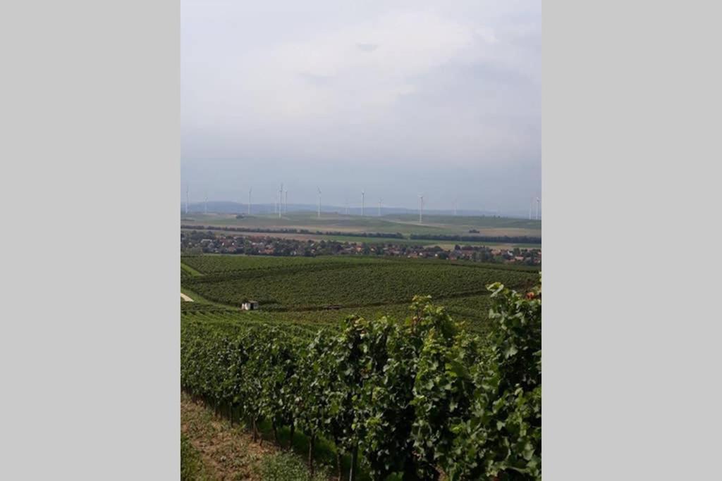 Wohlfuehlen Im Rheinhessischen Backsteinhaus * Armsheim